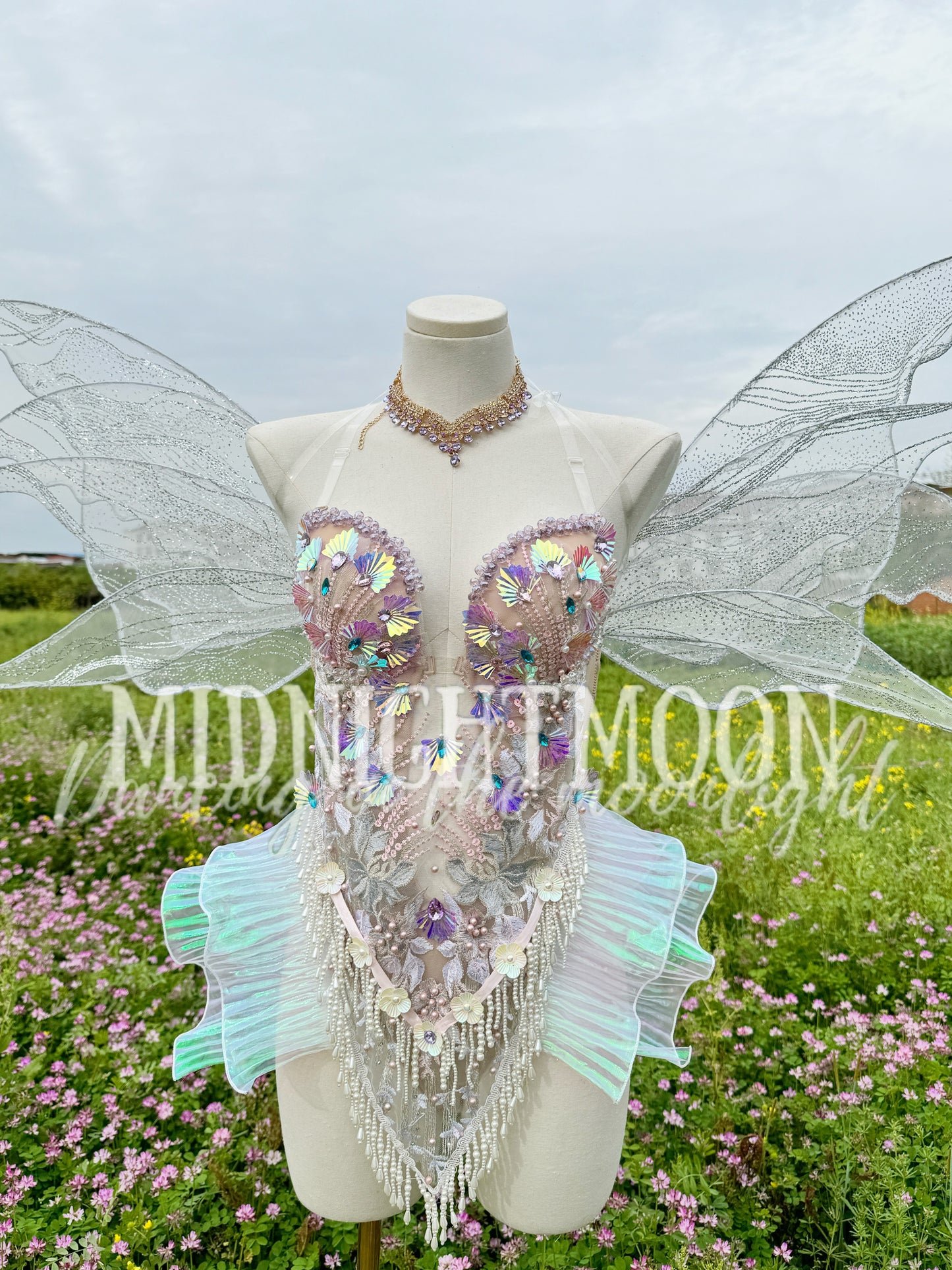 Fairy Dream